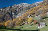 20101105_124122 Dasile autunnale.jpg